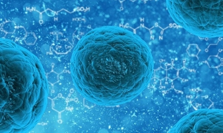 3 fakty o komórkach macierzystych