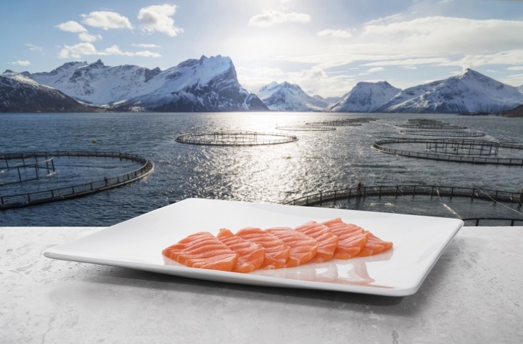 Włącz do swojej diety ryby i owoce morza