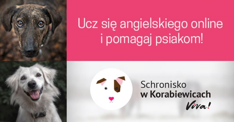 Pomagaj zwierzakom ze schroniska w Korabiewicach