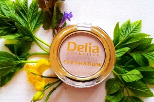 Delia Cosmetics cień do powiek nr 02