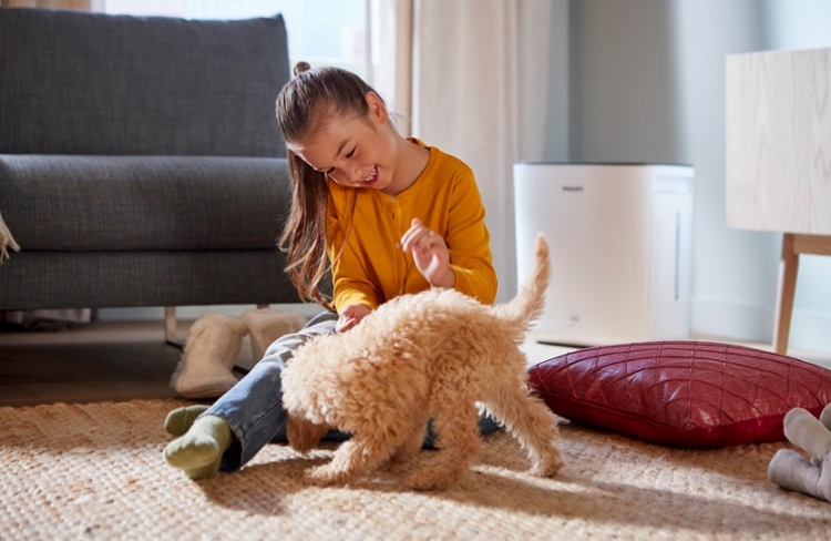 Zadbaj o nawilżenie powietrza w sezonie grzewczym