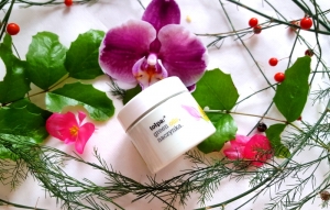 Tołpa Green Oils wzmacniający krem na naczynka