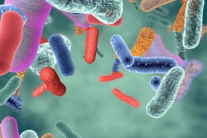 Modyfikowanie mikrobioty