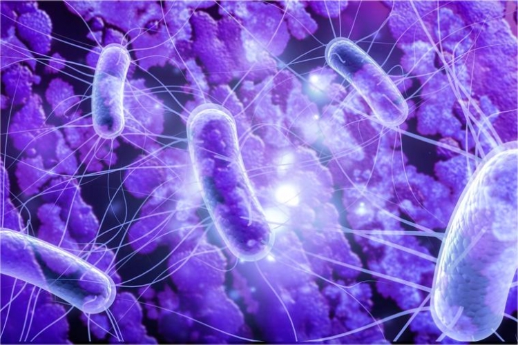 Oś jelita-mózg: niezbadana ścieżka komunikacji