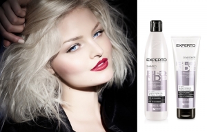 Experto Professional Cold Blonde