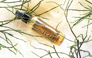 Avon Advance Techniques luksusowy odżywczy spray do włosów Nutri 5