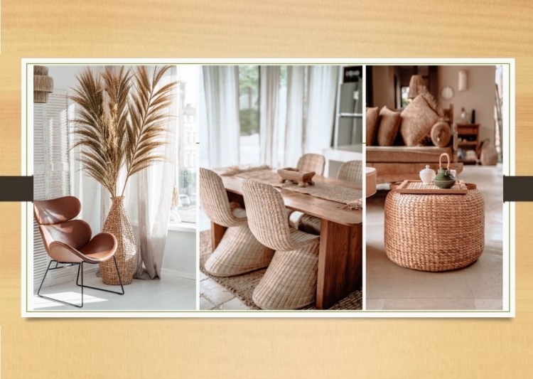 Monnarita na salonach