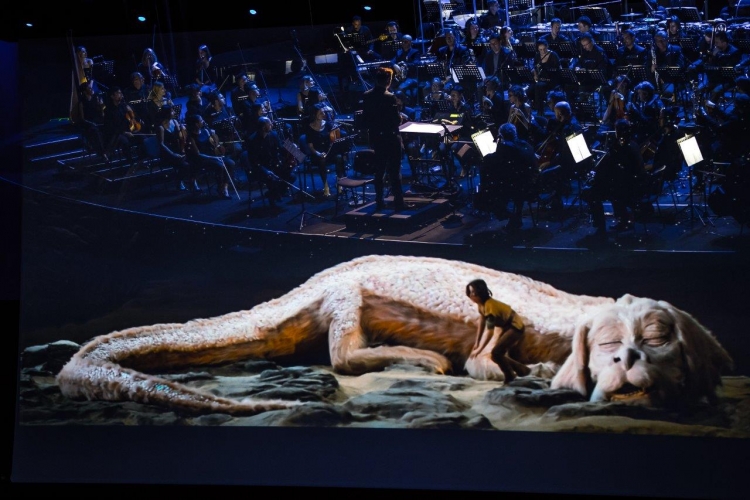 10 FMF Niekończąca się opowieść