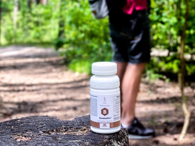 Jak uniknąć kleszczy i zminimalizować skutki ich ugryzienia?