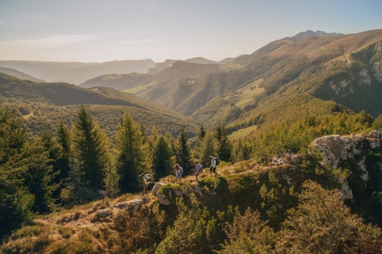 Jack Wolfskin i textile to textile