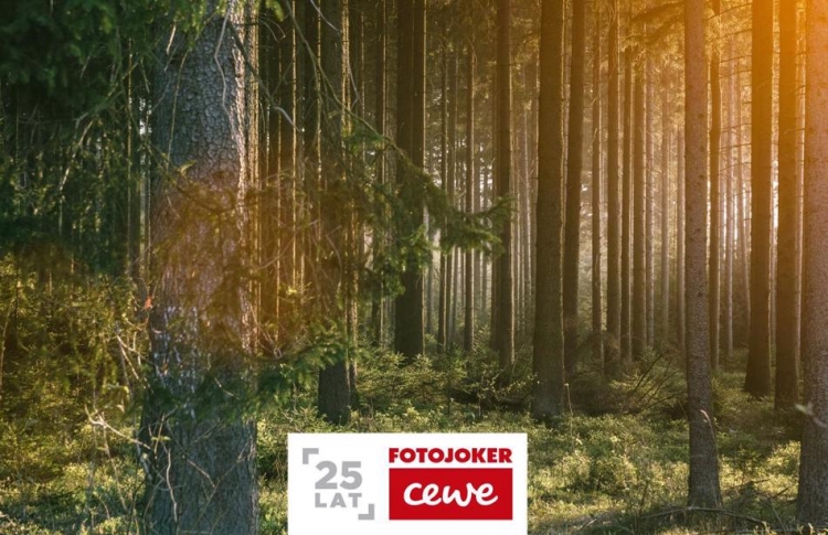 Zachowaj wspomnienia i zostań patronem drzewa!