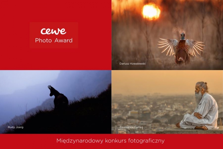 CEWE Photo Award
