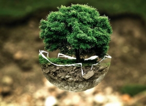 Gospodarka cyrkularna ratunkiem dla świata?