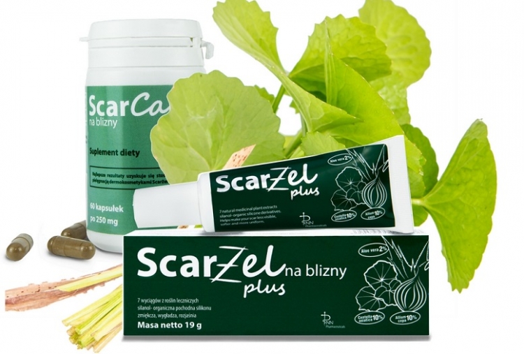 Wąkrotka azjatycka – wielka moc niewielkiej roślinki