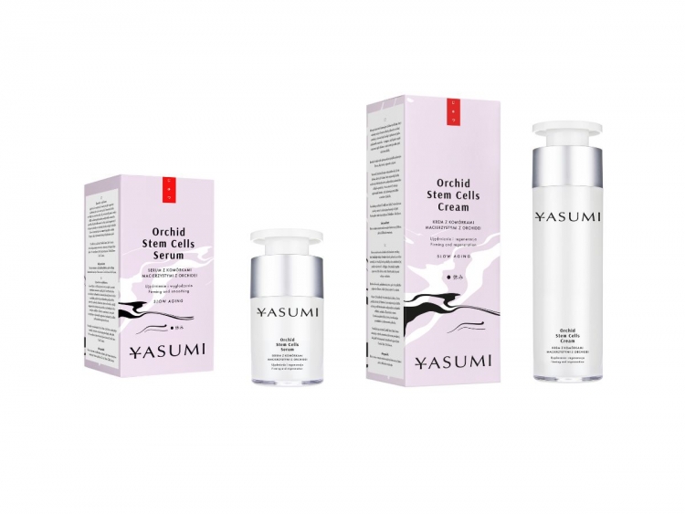 Yasumi Orchid Stem Cells