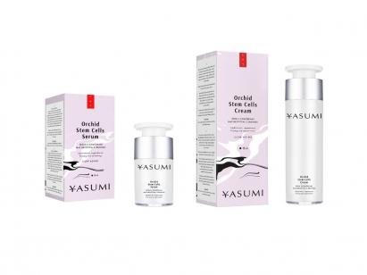Yasumi Orchid Stem Cells