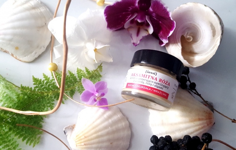 Iossi aksamitna róża, regenerująco nawilżający krem z acerolą