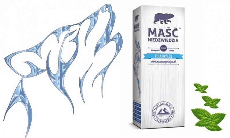 Chłodzący Niedźwiedź na letnie upały